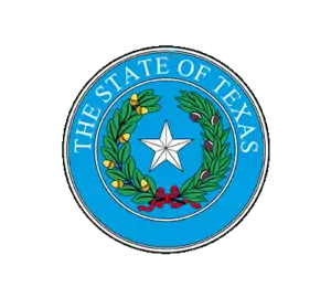 Texas State Medicaid thumbnail image